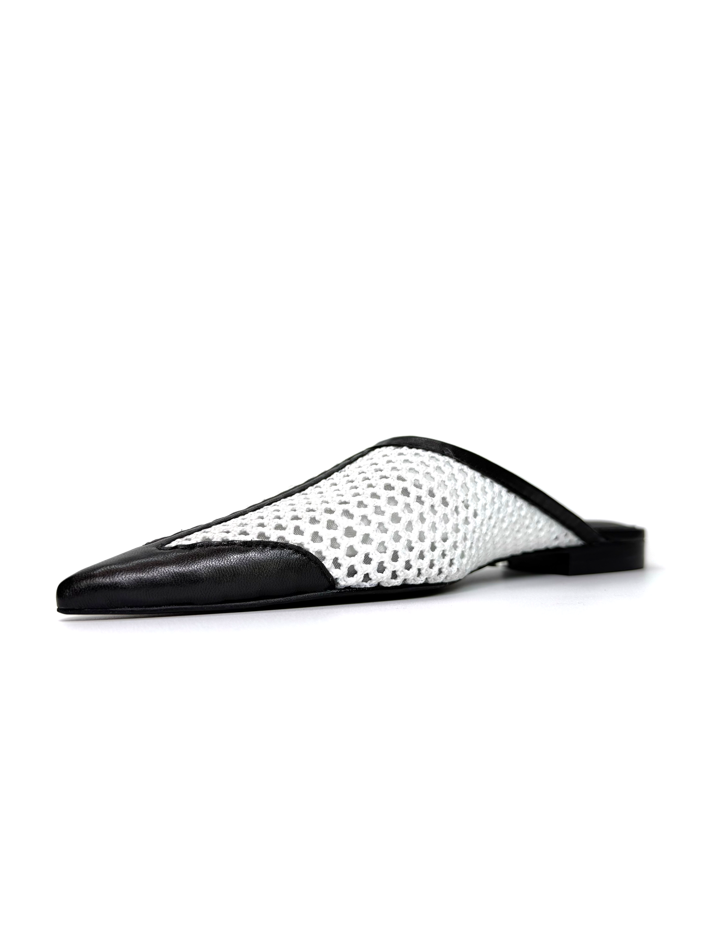White and Black Mule