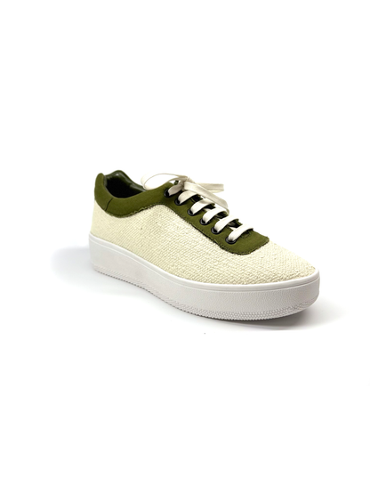 تنس الزيتون الأبيض